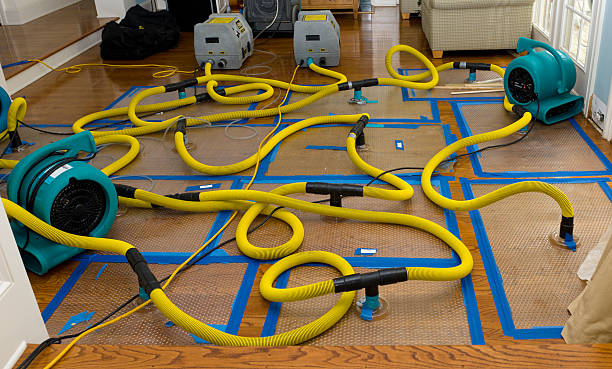 Professional Water Extraction technician working in Wyoming, OH